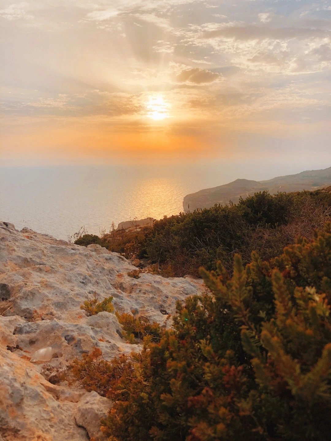 Carnault №1 Carnault