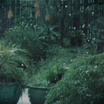 Carnault №3 Carnault