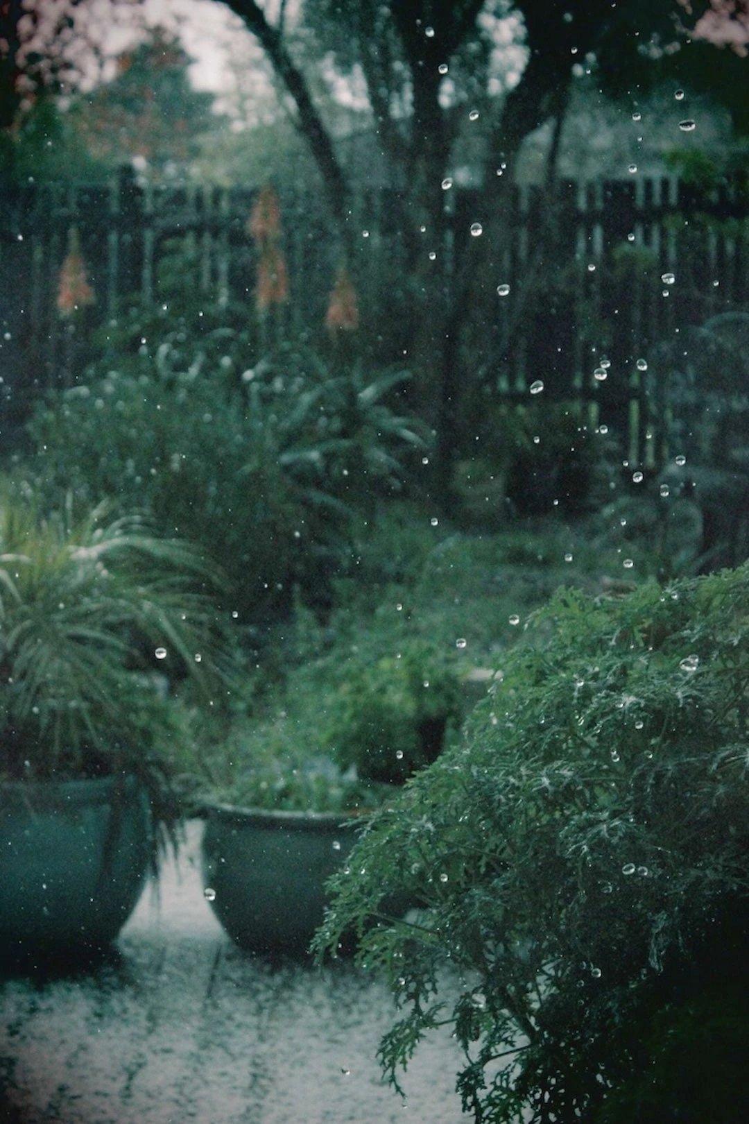 Carnault №3 Carnault