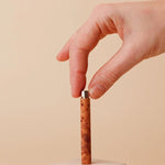 Control Unit Carnault