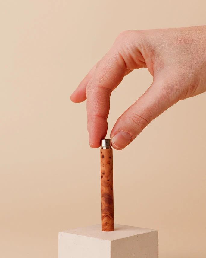 Control Unit Carnault